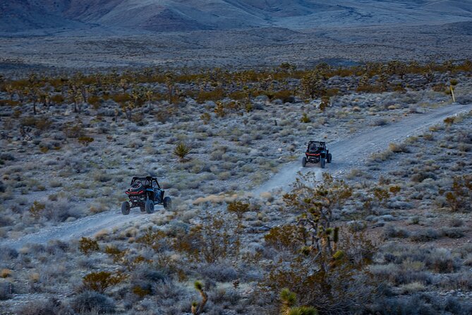Summer Mojave Desert Twilight RZR Quest in Las Vegas - Tips for an Unforgettable Experience