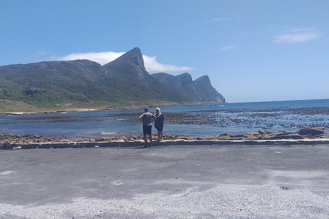 Table Mountain, Penguins, Cape of Good Hope and Stellenbosch Tour - Frequently Asked Questions