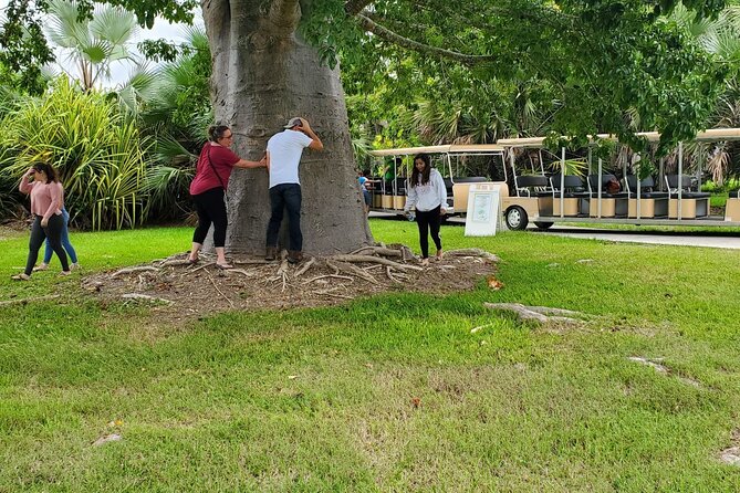 Taste of the Tropics Tour Review - Final Verdict On This Stay