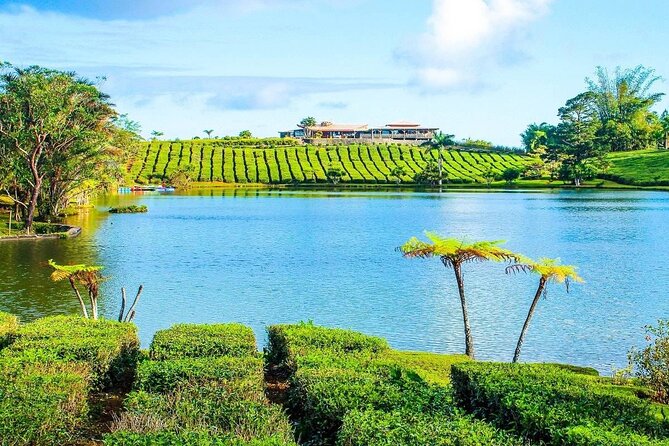 The East Discovery Tour: Bois-Cheri Tea Factory, Blue-Bay Marine Park & Lunch - Frequently Asked Questions
