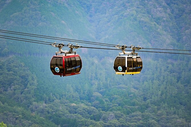 Tokyo Hakone:Mt.Fuji, Owakudani, Oshino Hakkai or Open Air Museum - Traveler Testimonials and Reviews