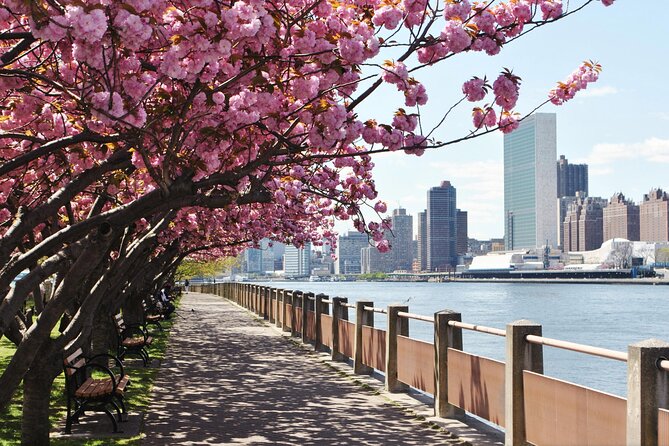 Uptown to Midtown Roosevelt Island Tour - What to Expect During the Tour