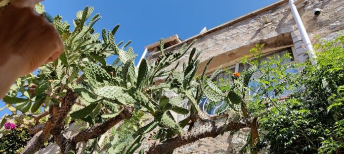 Visit of the Medieval Village of Èze in 1h30 - Customer Feedback