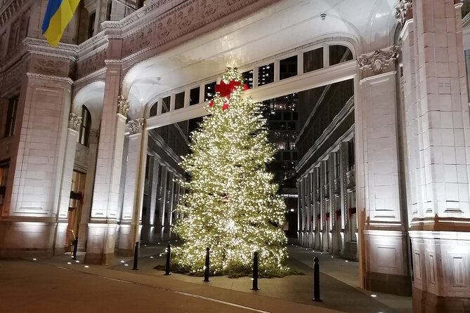 Walking and Getting to Know Downtown Chicago - Booking Your Private Tour Experience