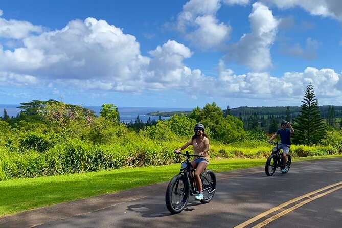West Maui: Self-Guided E-Bike Kapalua Jungle Adventure Tour - Additional Information