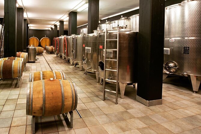 Wine & Chocolate Tour and Tasting in Alba Area - Unique Tasting and Museum Visit