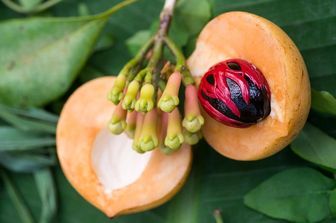 Zanzibar Spice Farm Half-Day Walking Tour - Frequently Asked Questions