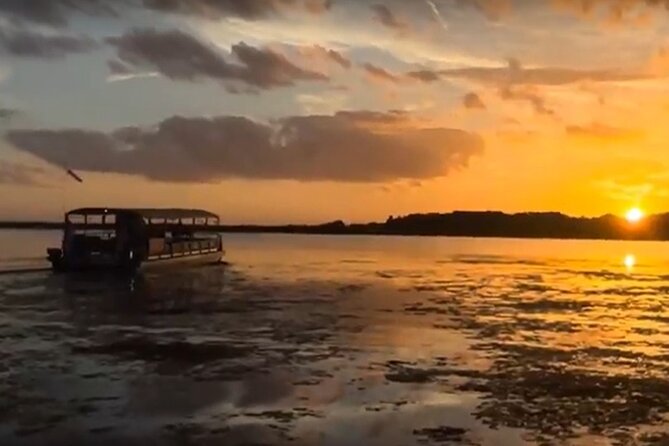90 Minute Pontoon Cruise in Florida Review