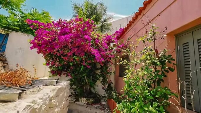 Athens Revealed: Walk, Taste, and Explore in Small Group - Frequently Asked Questions