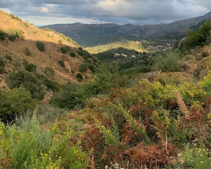 From Platanias: Guided Mountain Half Day Trip With Snack! - Frequently Asked Questions