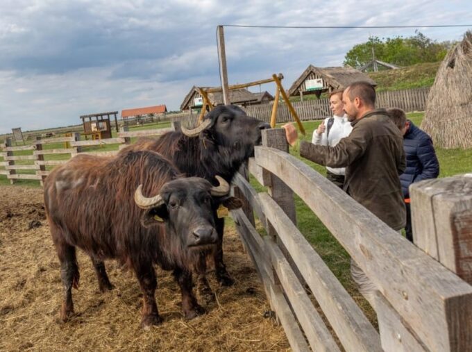 Hortobágy: Crane-watching at Dusk & Visit to the Puszta Park - Frequently Asked Questions