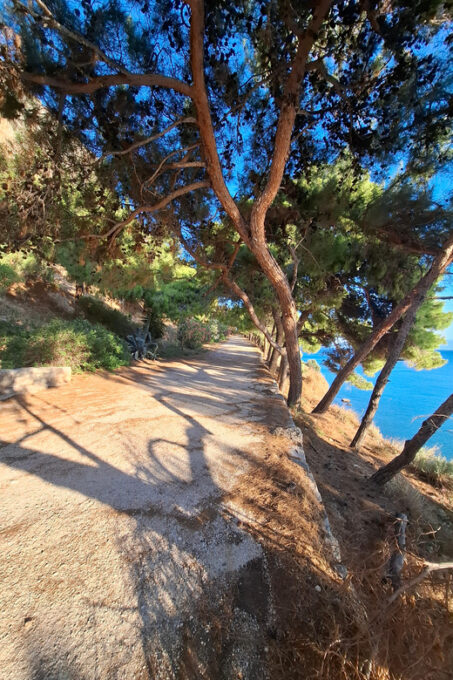 Laugh With Nafplio in Nature - Frequently Asked Questions