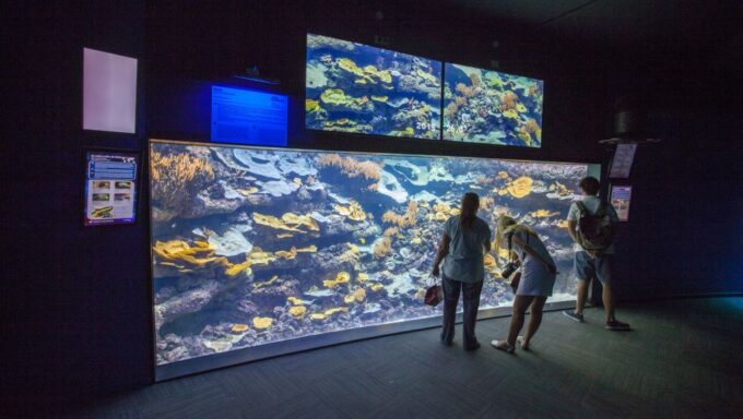 Paris: Aquarium De Paris Entrance Ticket - Frequently Asked Questions