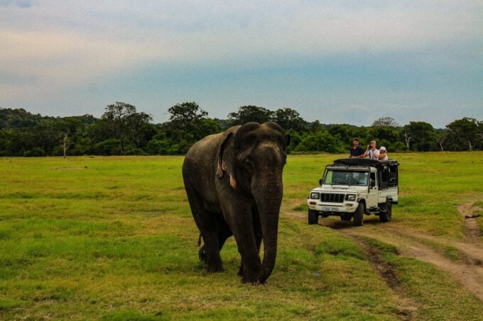 Sri Lanka Ancient Temple, Wildlife, Hill Country Train - Frequently Asked Questions