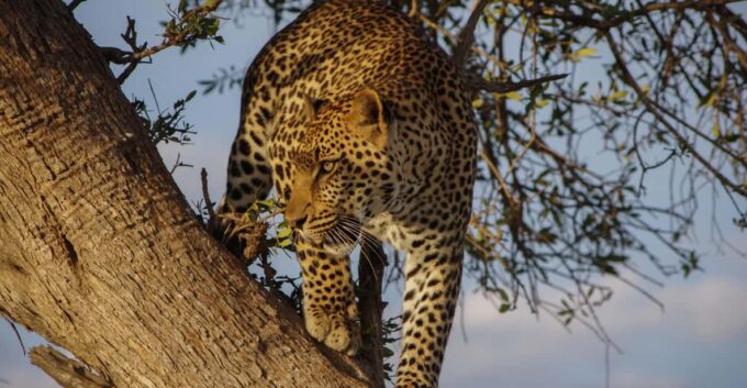 Sri Lanka: Wildlife and Beach - Frequently Asked Questions
