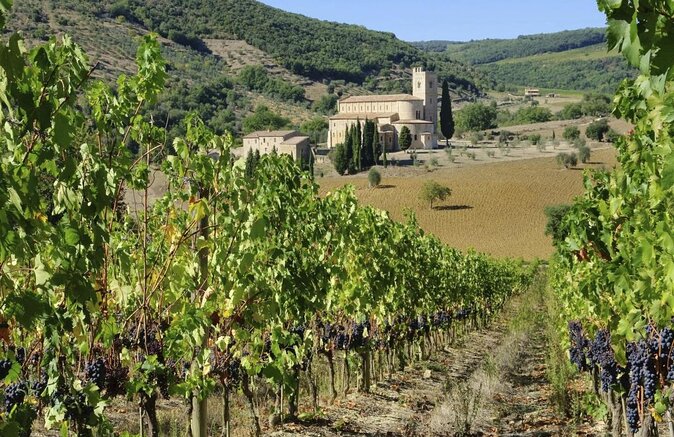 A Sunday in the Crete Senesi Between Artist Gardens And Benedictine Monasteries - Key Points