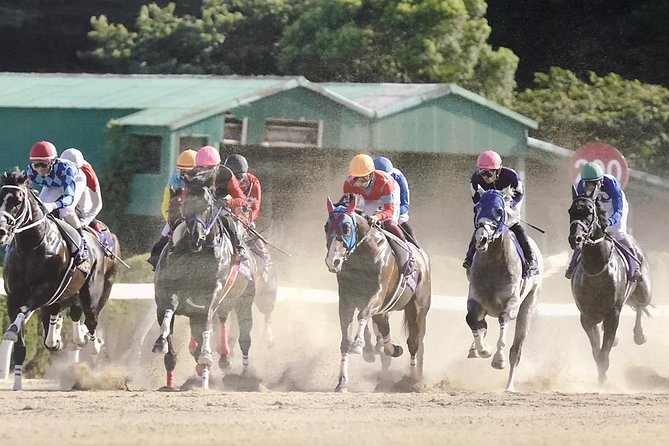 A Tour to Enjoy Japanese Official Gambling (Horse Racing, Bicycle Racing, Pachinko) - Good To Know