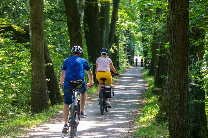 Acadia Half Day Private Bike Tour Review - Good To Know
