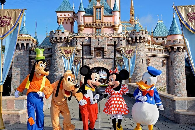 Airport Transfer Between Narita and Tokyo or Disney or Yokohama - Service Overview