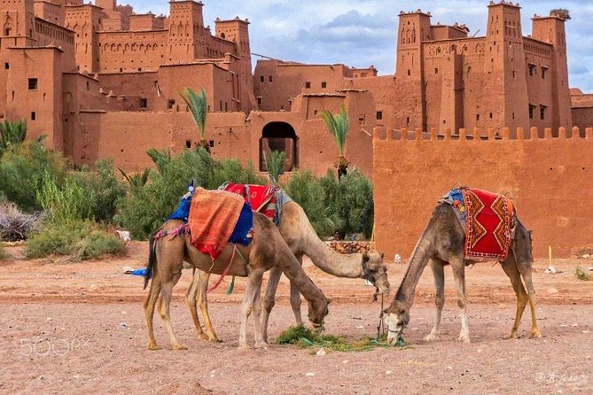 Ait Ben Haddou and Ouarzazate Day Trip From Marrakech - Transportation Options