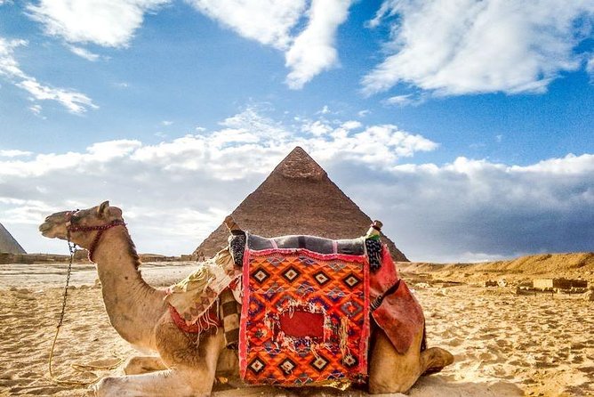 All Giza Activists - Overview of Giza Activists