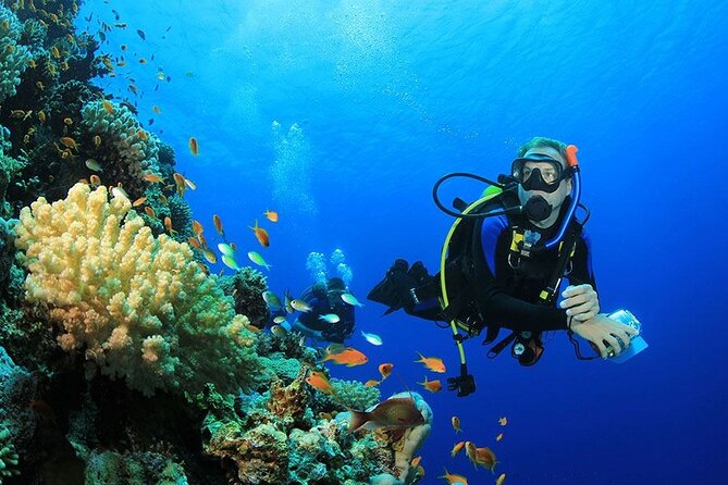 All in One Intro Diving & Snorkeling & Massage & Seafood & Water Sport -Hurghada - Key Points