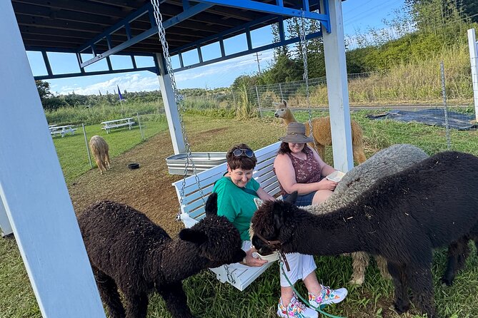 Alpaca Farm Experience on the Road to Hana - Whats Included