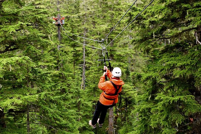 Alpine Zipline Adventure in Juneau, AK - Good To Know