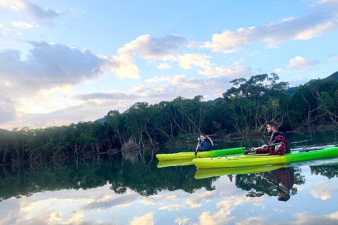 Amami Oshima Mangrove Kayaking, Waterfall and Cape Walking Tour - Tour Overview