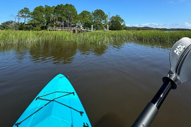Amelia Salt Marsh Paddle Review - Good To Know