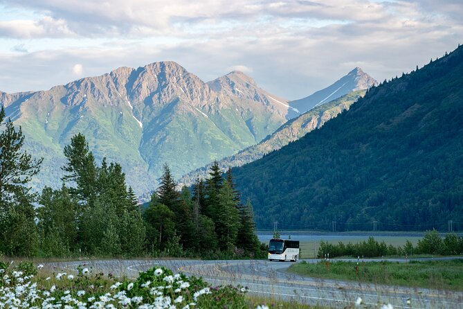 Anchorage to Seward Wildlife Adventure Review - Good To Know