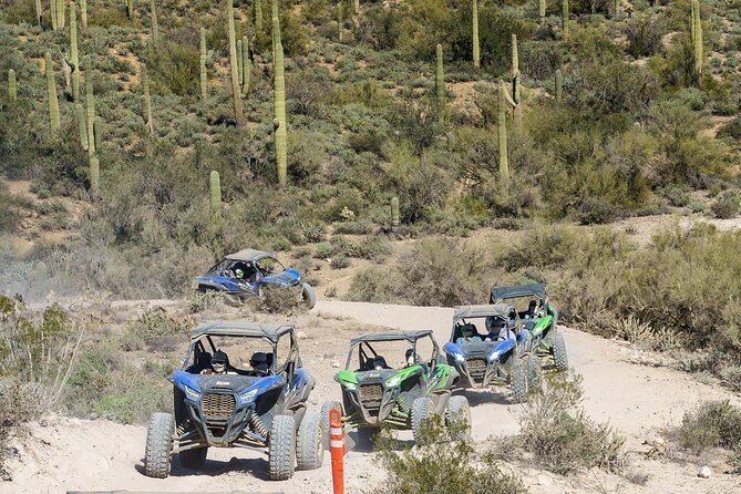 Ancient Ruins Tour - Guided Arizona Desert Tour by UTV - Good To Know