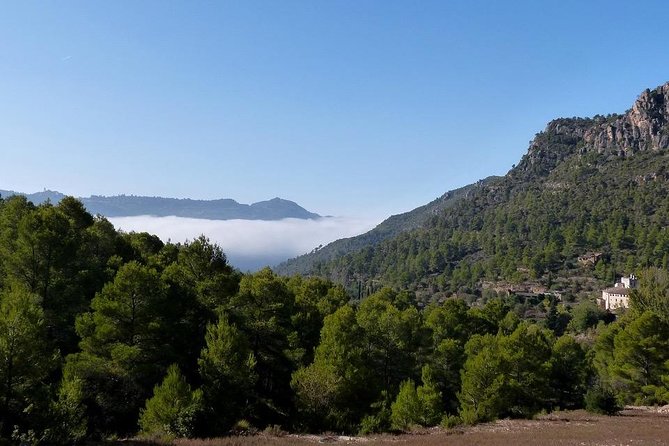 Annual Pass National Parks With Audioguide - Key Points
