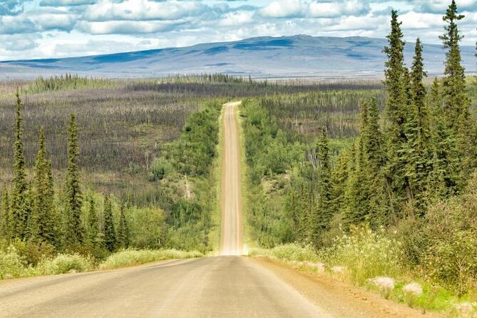 Arctic Circle Aurora Drive Adventure - Key Points