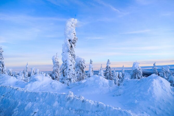 Arctic Circle Day Tour Adventure Review - Good To Know