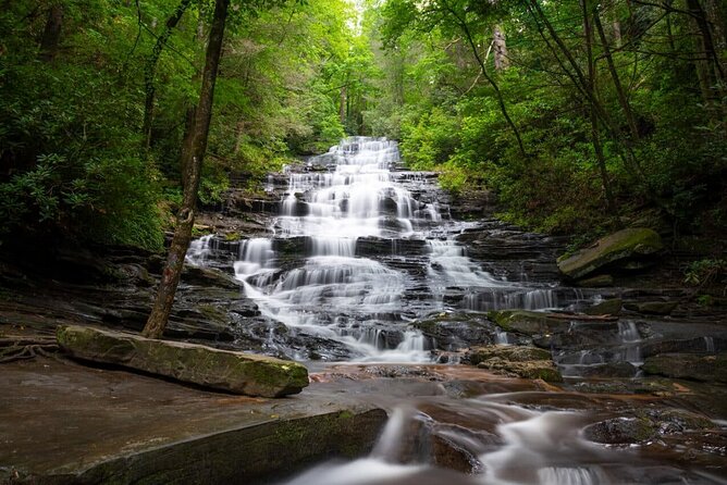 Atlanta to Amicalola Falls Tour Review - Tour Overview