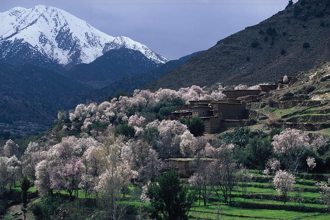 Atlas Mountains and 4 Valleys Private Tour From Marrakech - Tour Highlights