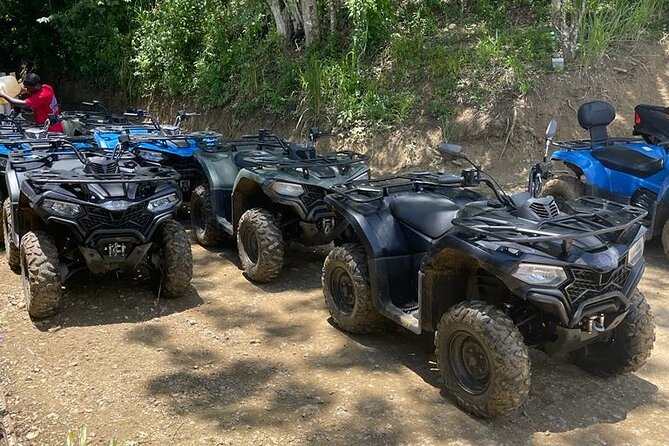 ATV Adventure and 7miles Beach Then Ricks Café in Negril - Key Points
