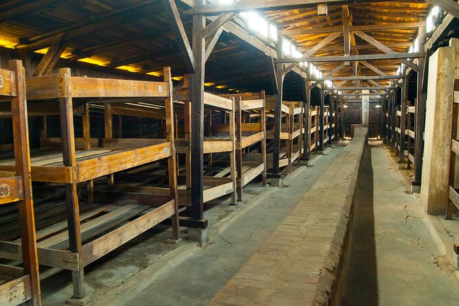 Auschwitz-Birkenau and Krakow Private Car Trip From Katowice - Key Points