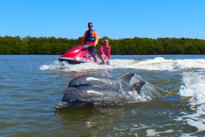 Avis Premium Dolphin Tour by Jet Ski - Good To Know