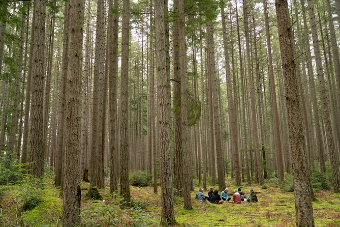 Bainbridge Island Serenity Forest Tour Review - Good To Know