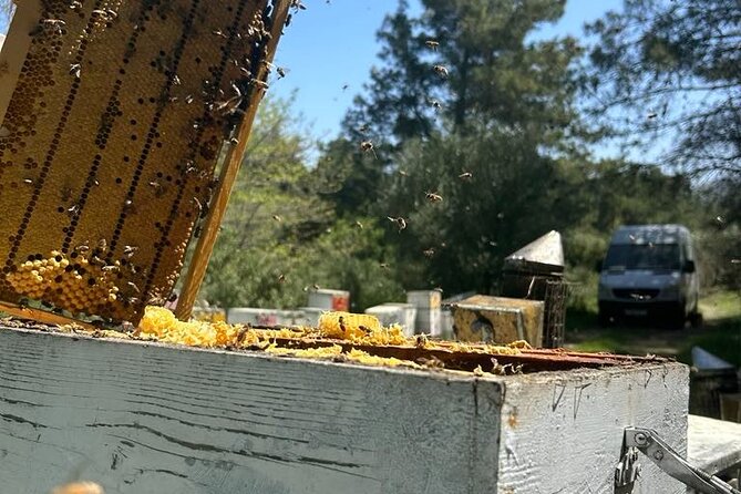 Beekeeping Experience Areti Honey - Key Points