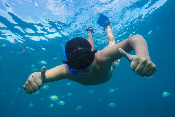BEST COMBO CABO ARCH CLEAR BOAT & CITY TOUR La Paz & Todos Santos - Key Points