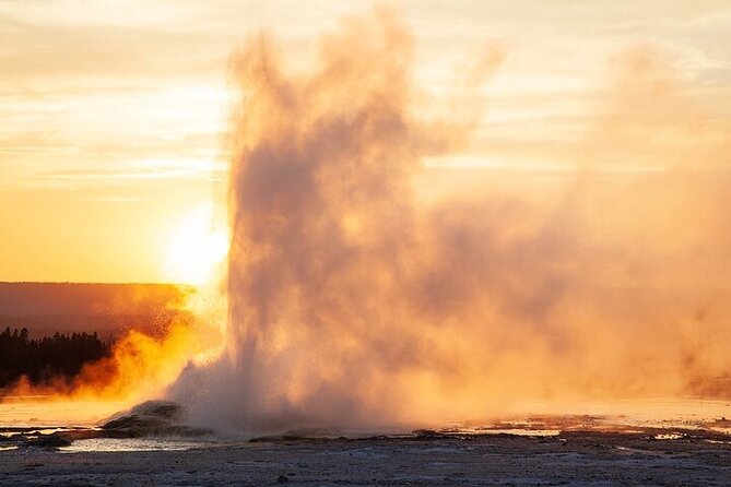 Best of Yellowstone Tour Review - Good To Know