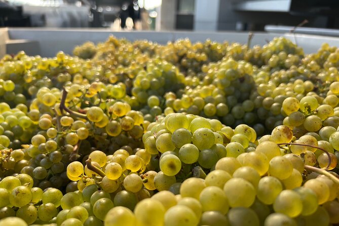 Best Wines Best Views Tour Review - Good To Know