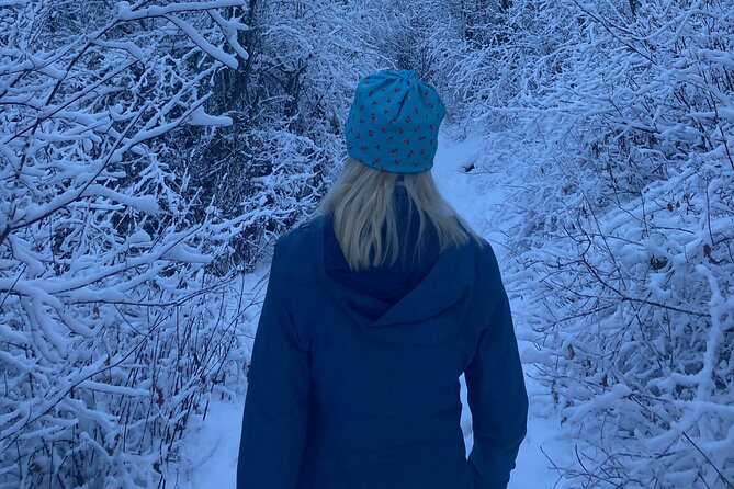 Big Sky Snowshoe & Wildlife Adventure With Lunch - Private Tour - Tour Overview