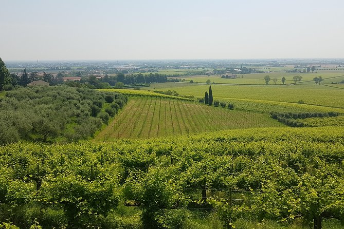 Bike Tour Of Castles And Hills Of Unesco Di Conegliano - Tour Overview