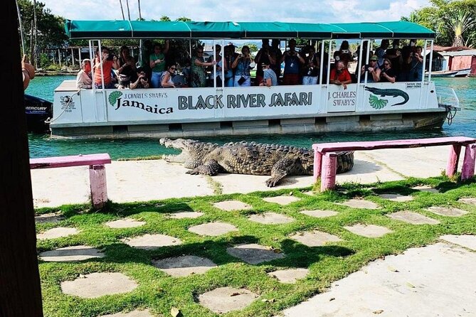 Black River Safari and Floyd Pelican Bar Tour From Montego Bay - Key Points