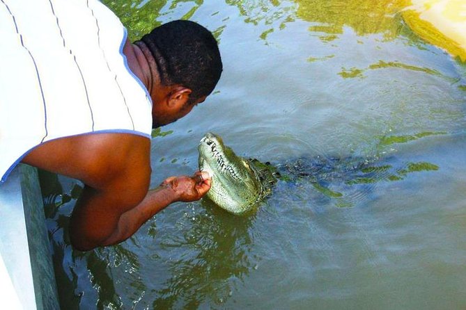 Black River Safari With Transport From Montego Bay - Key Points