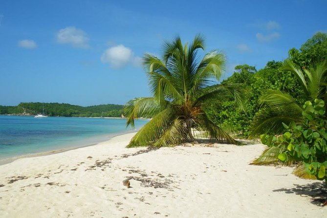 Boat Cruise to the French Islands - Key Points